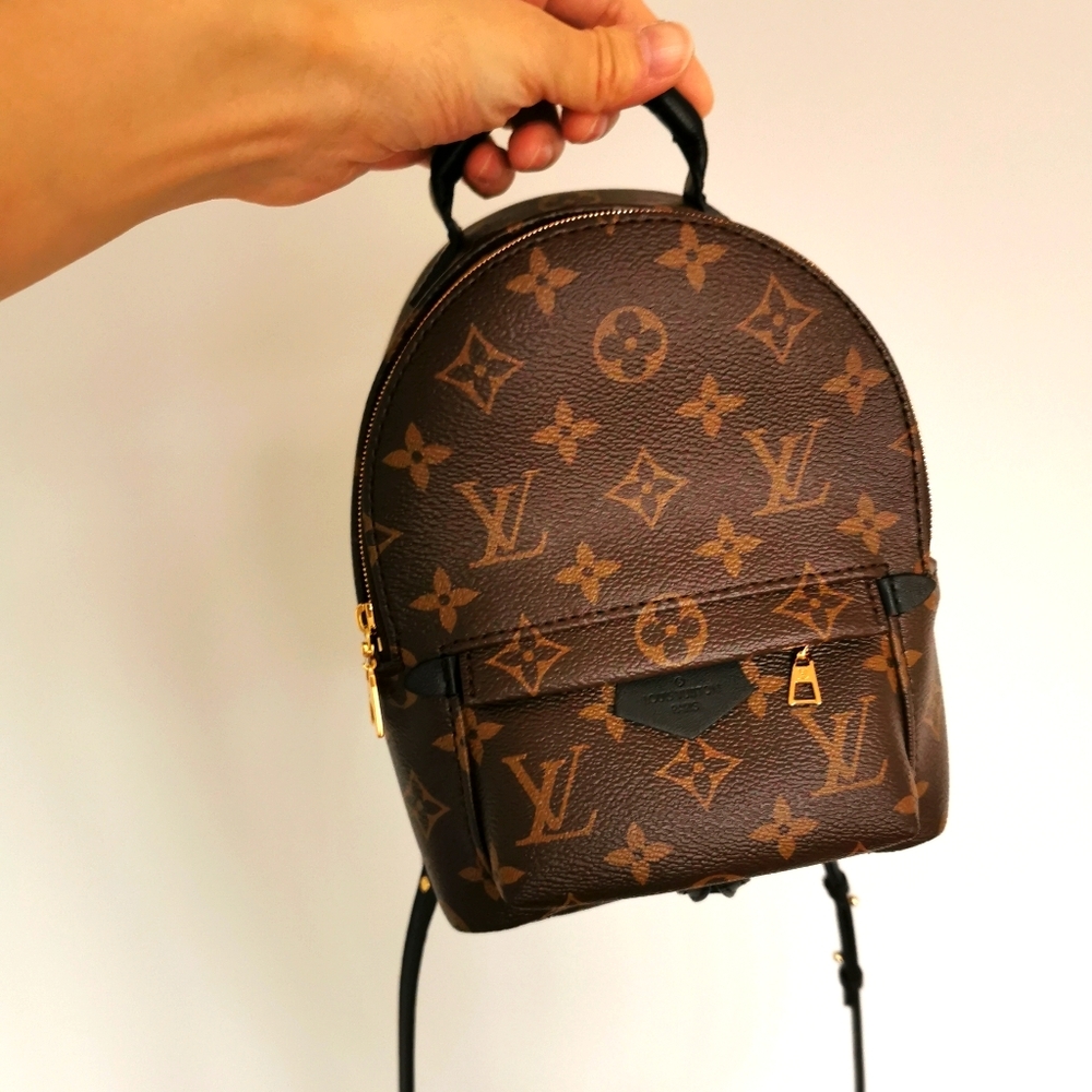 Louis Vuitton Palm Springs mini backpack